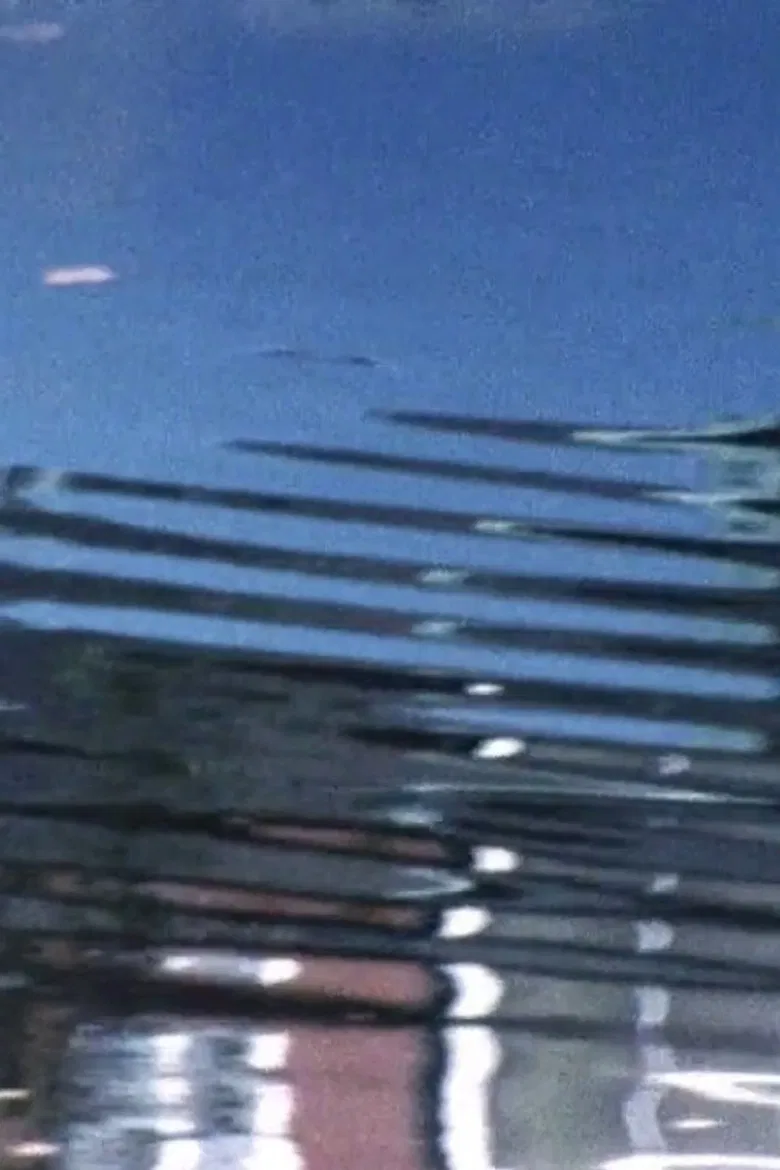 Old Digs poster background