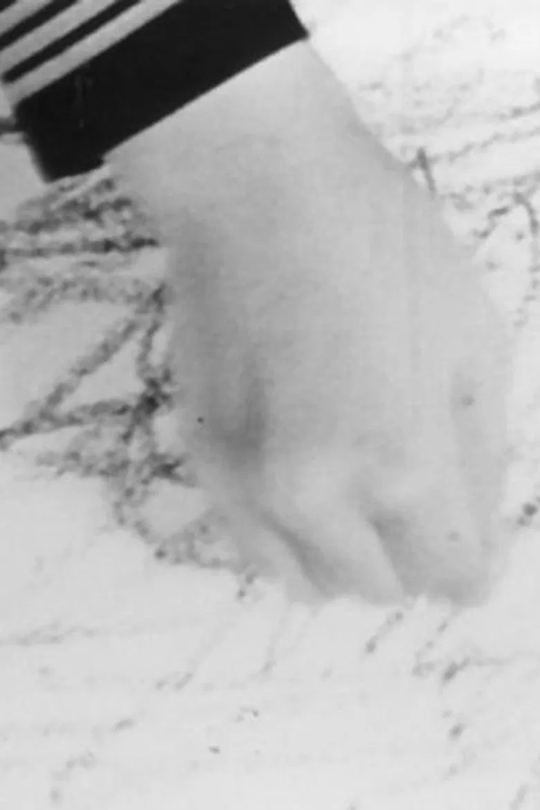 grey's poster background