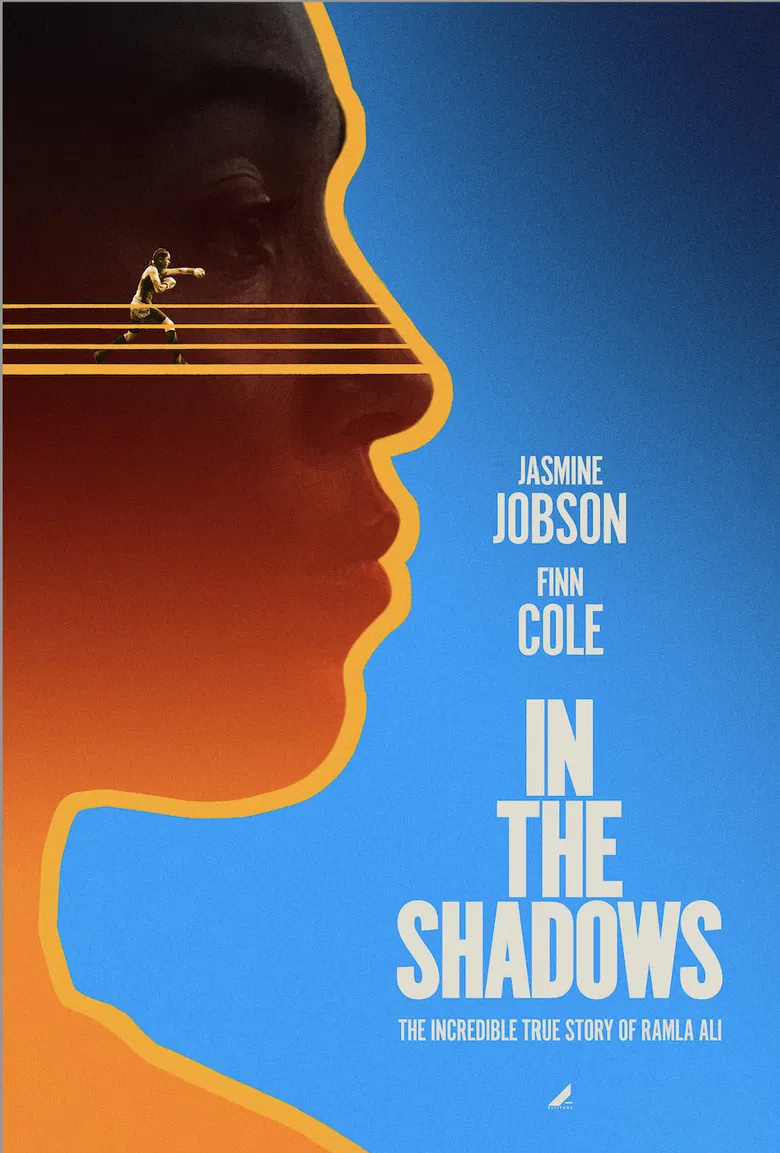 In the Shadows poster background