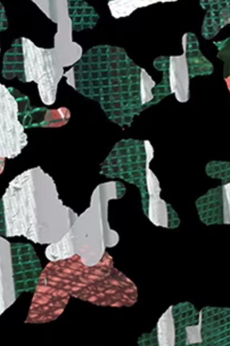 Ornithology 6 poster background