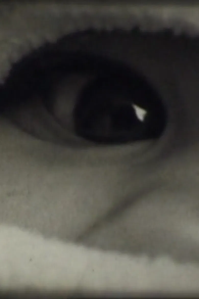 Le Corps Humain poster background