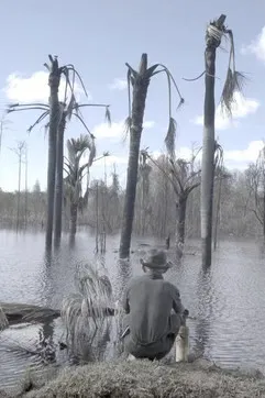 Santino poster background