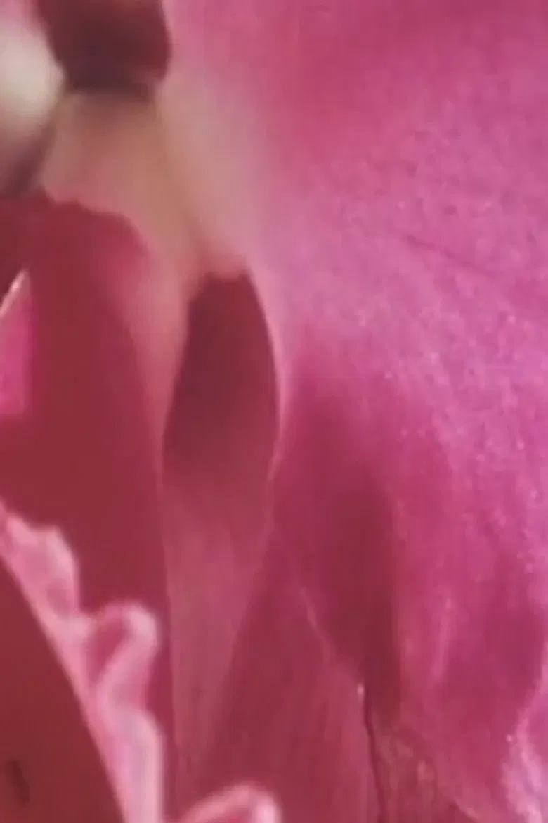 Something Within Me poster background