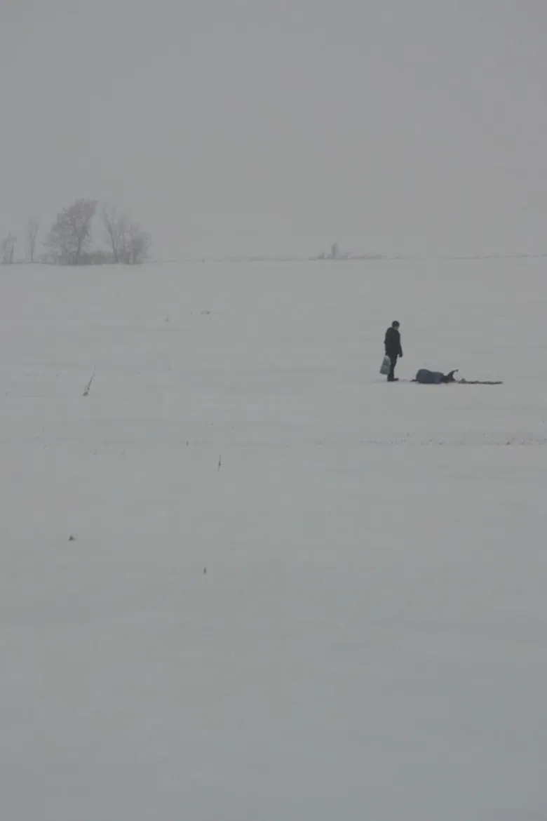 Snow poster background