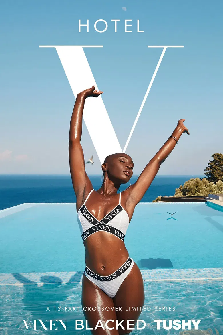 Hotel Vixen poster background