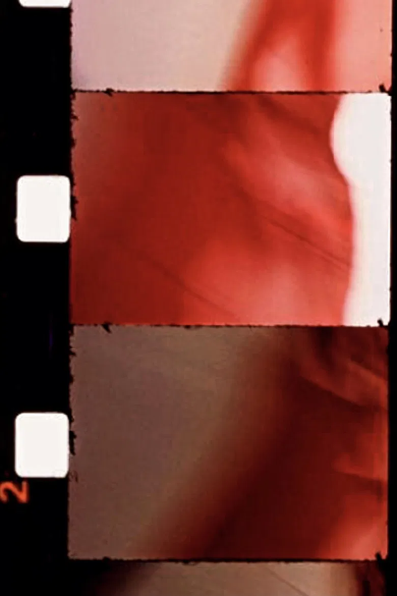 Le Drapeau de l'étoile poster background