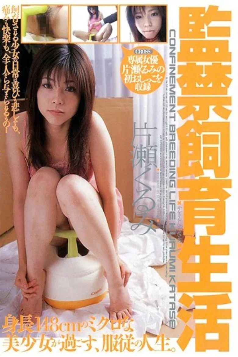 Life in Captivity — Kurumi Katase poster background