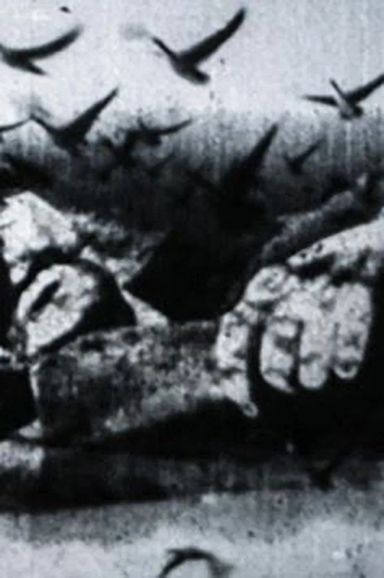 2012 poster background