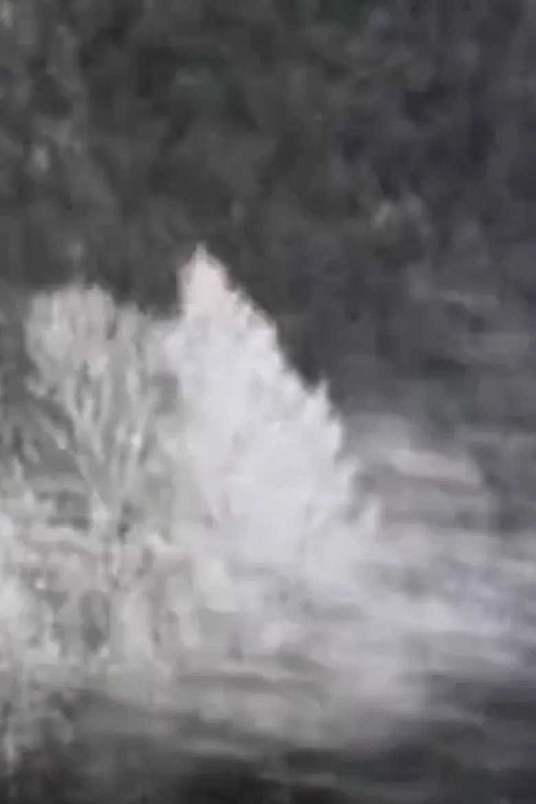 Chronographies poster background