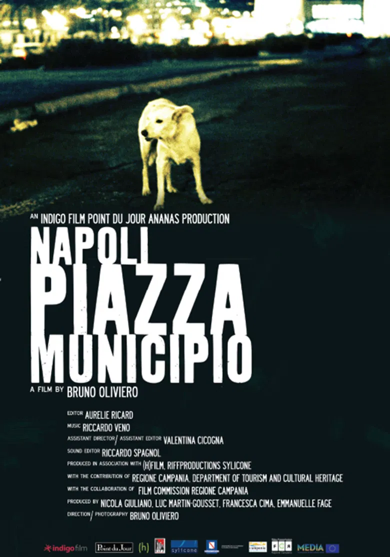 Napoli Piazza Municipio poster background
