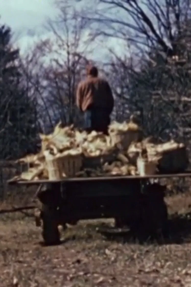 The Longhouse People poster background