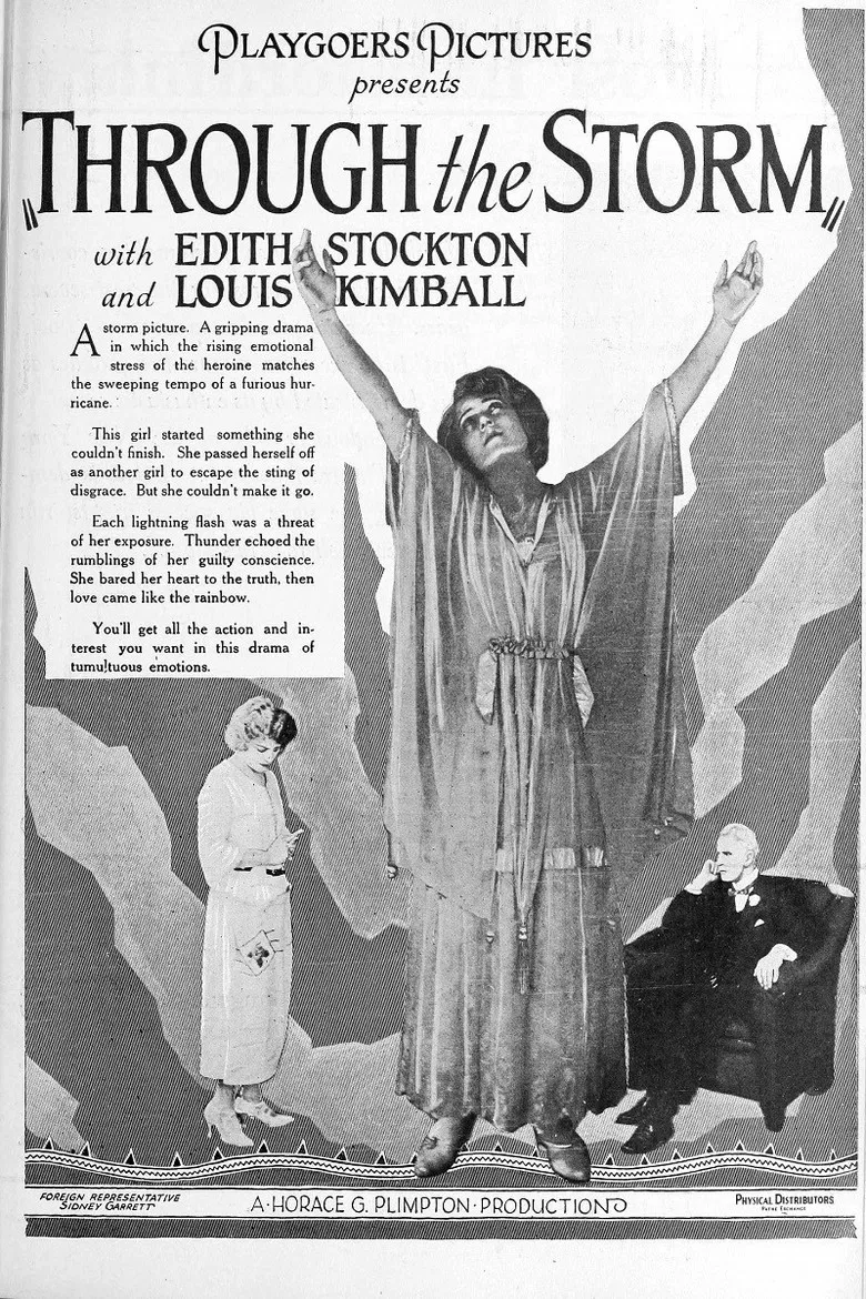 Through the Storm poster background