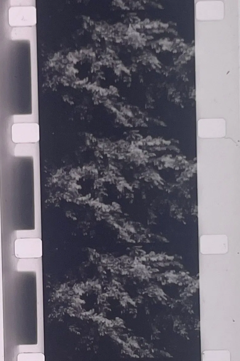 Plotting the Grey Scale: 2 or 3 Quick Traverses poster background