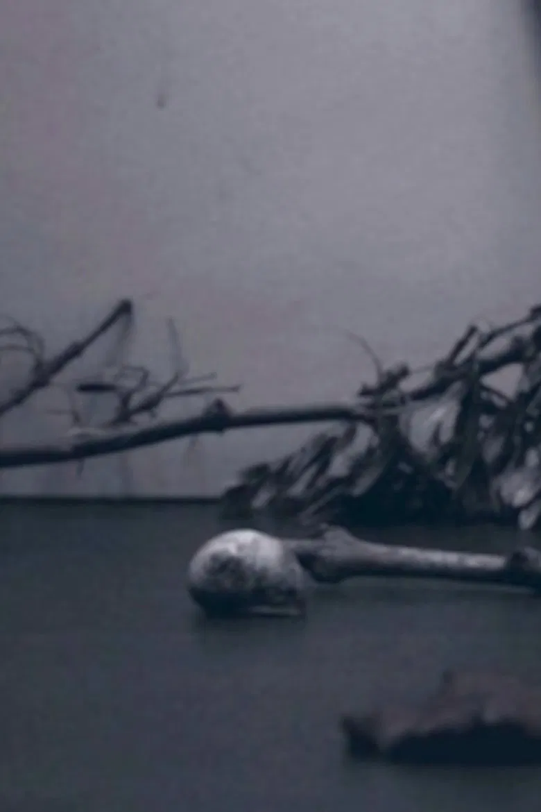 land poster background