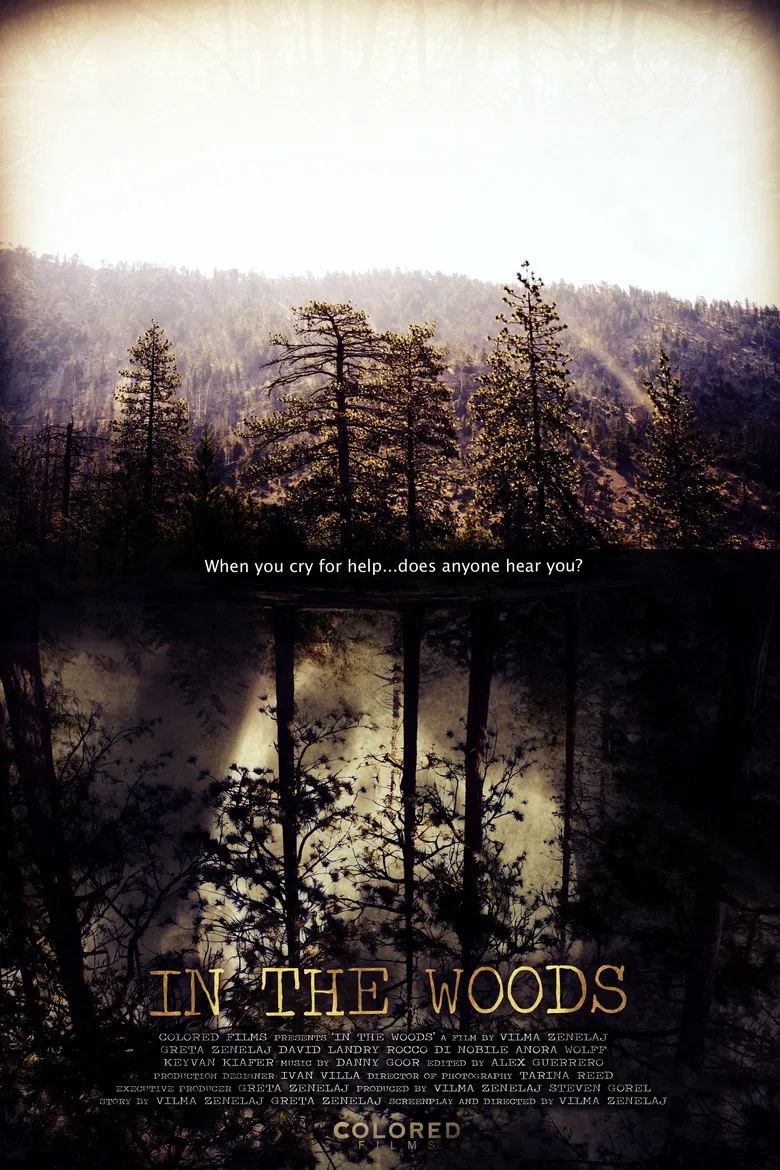 In the Woods poster background