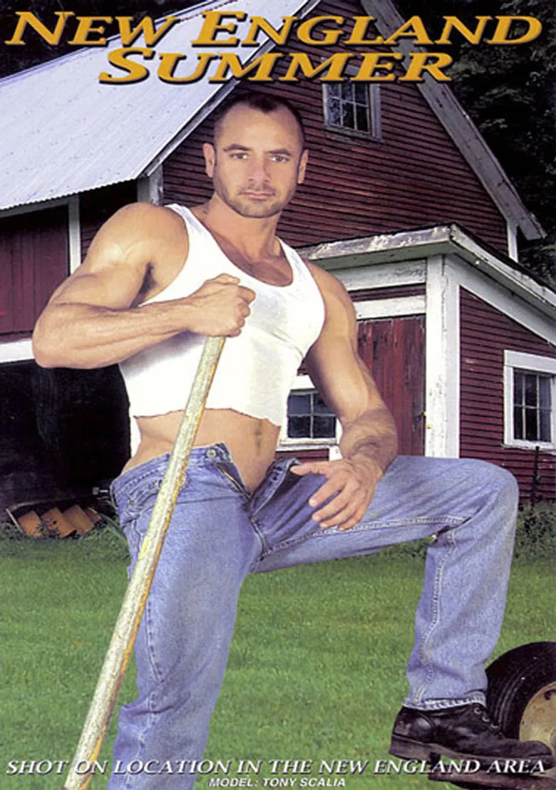 New England Summer poster background