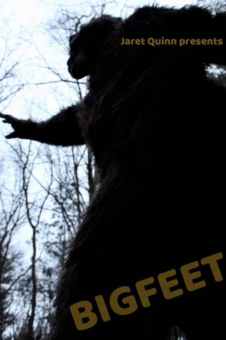 BIGFEET poster background