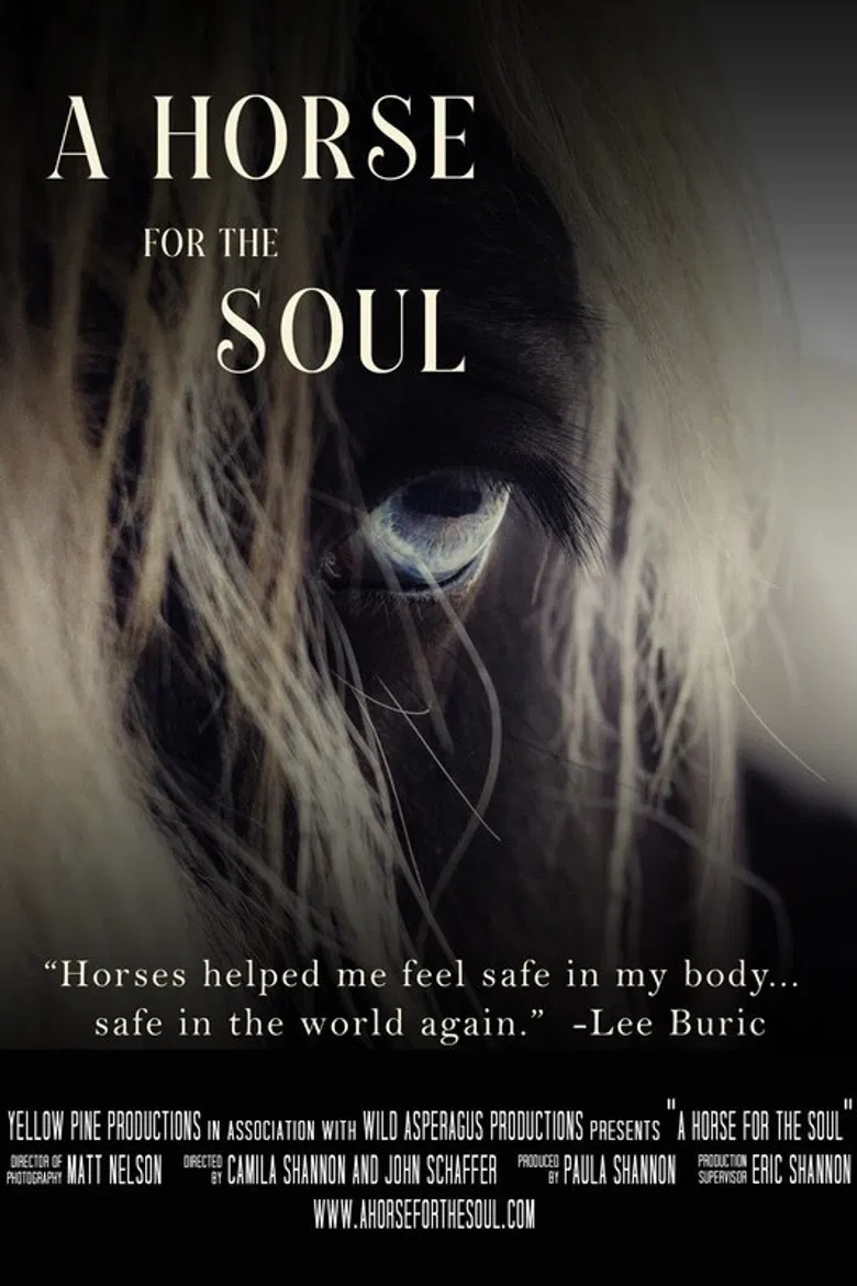 A Horse for the Soul poster background