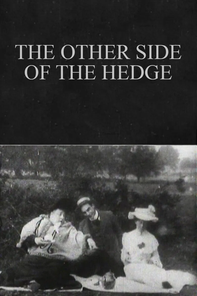 The Other Side of the Hedge poster background