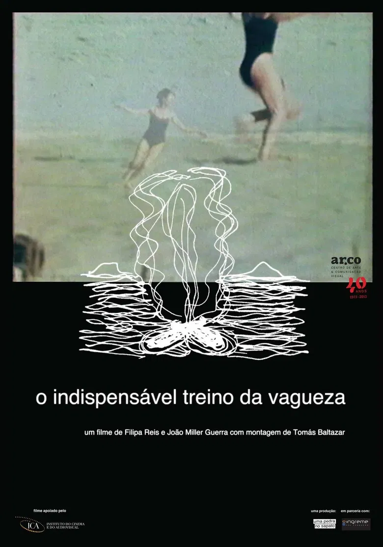 The Indispensable Practice of Vagueness poster background