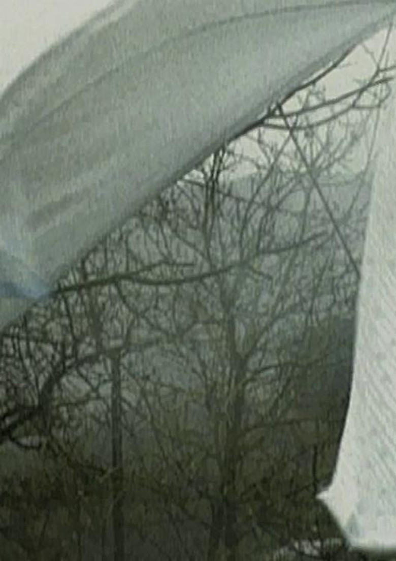 Panni poster background