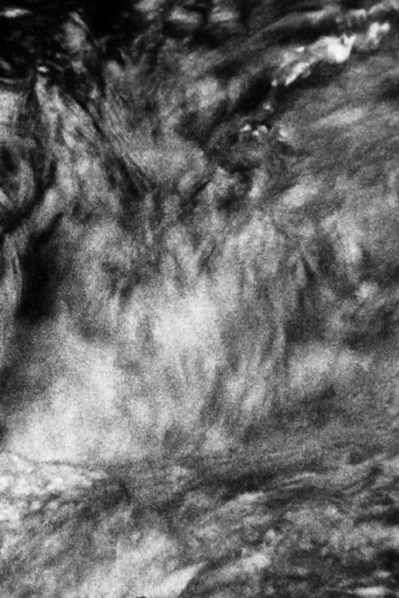 There is Nothing Left of the sea but its Sound poster background