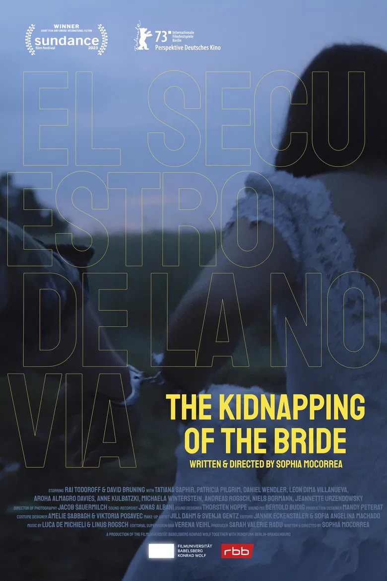 The Kidnapping of the Bride poster background