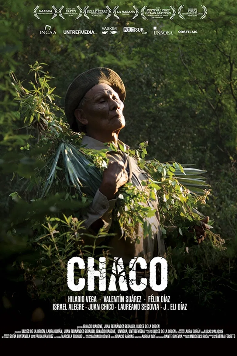 Chaco poster background