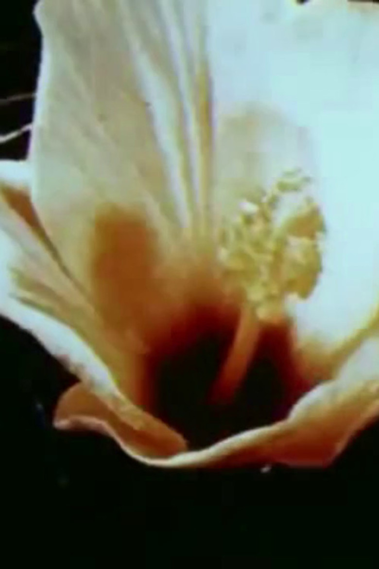 All Her Beautiful Green Remains In Tears poster background