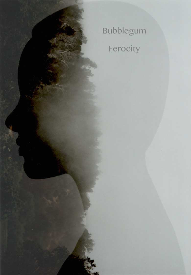 Bubblegum Ferocity poster background