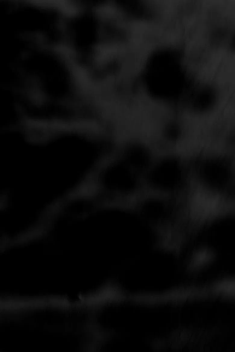 Black Trees poster background