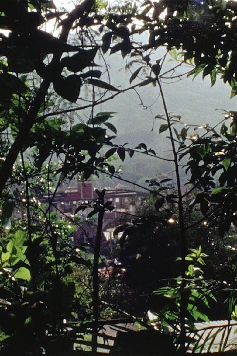 Rehearsal poster background