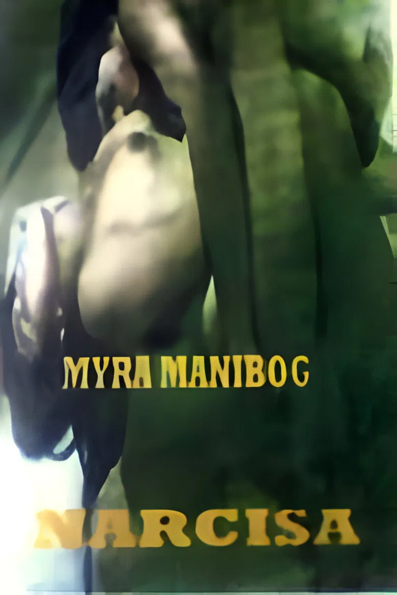 Narcisa poster background