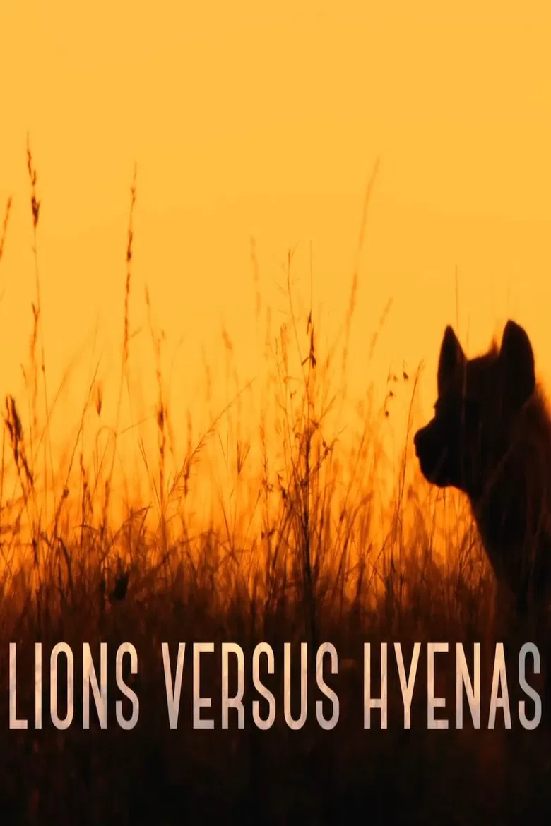 Lions versus Hyenas poster background