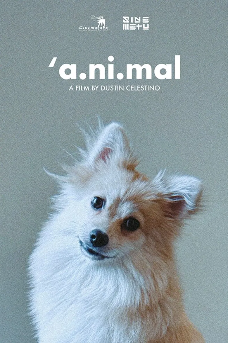 'a.ni.mal poster background