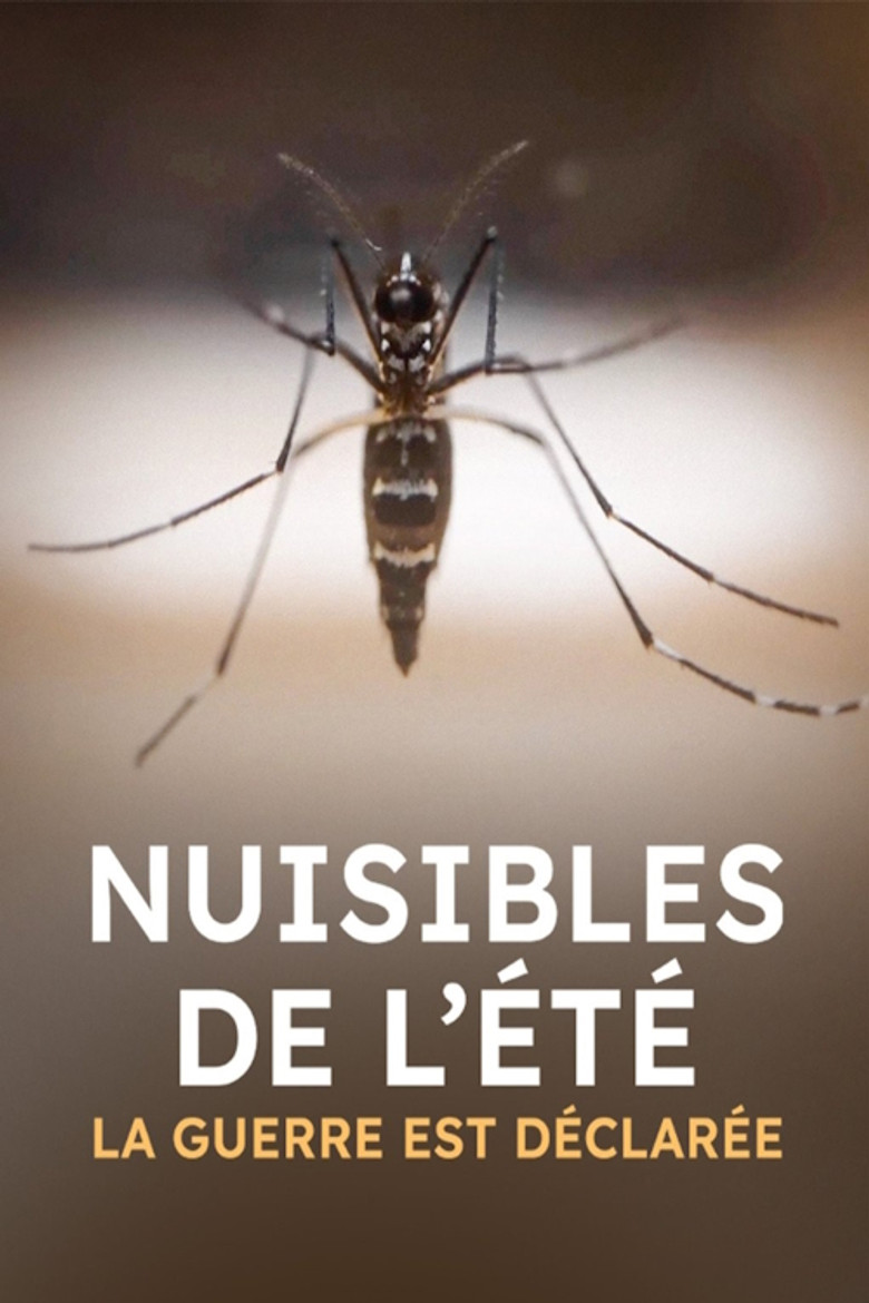 Nuisibles de l'été, la guerre est déclarée poster background