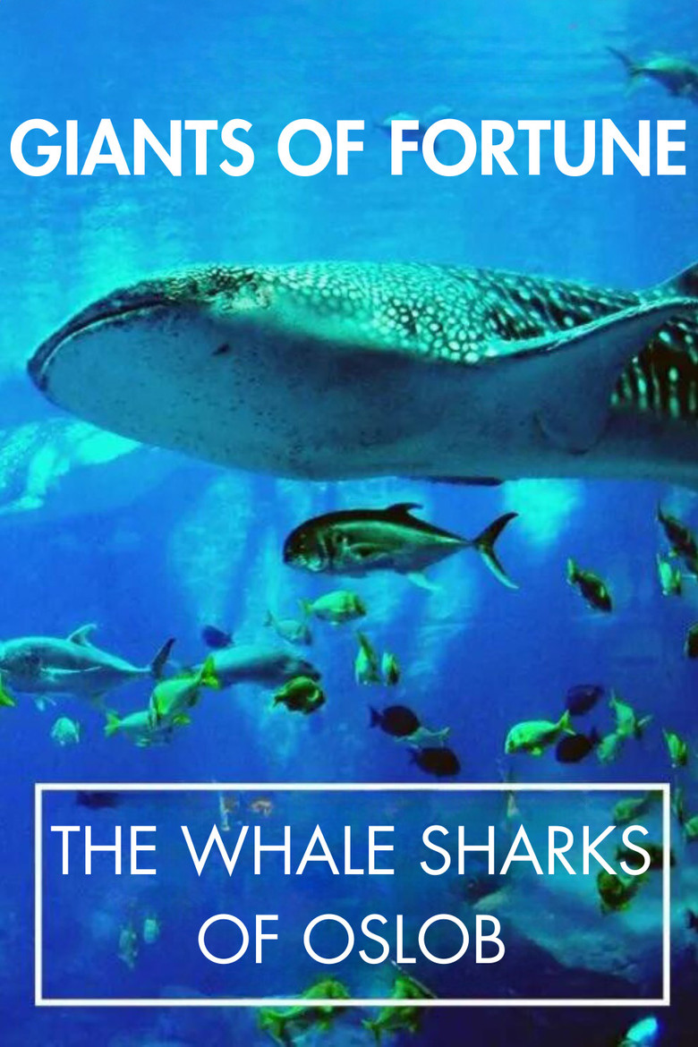 Giants of Fortune: The Whale Sharks of Oslob poster background