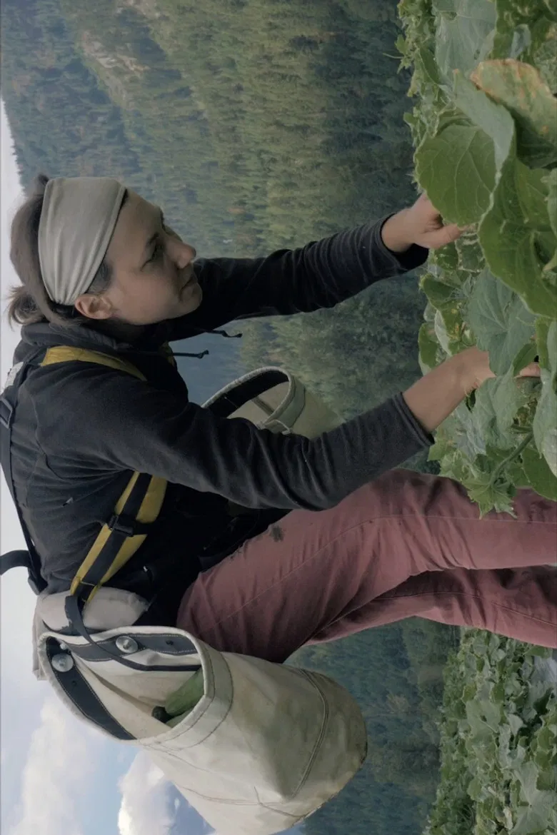 Age of the Farmer poster background