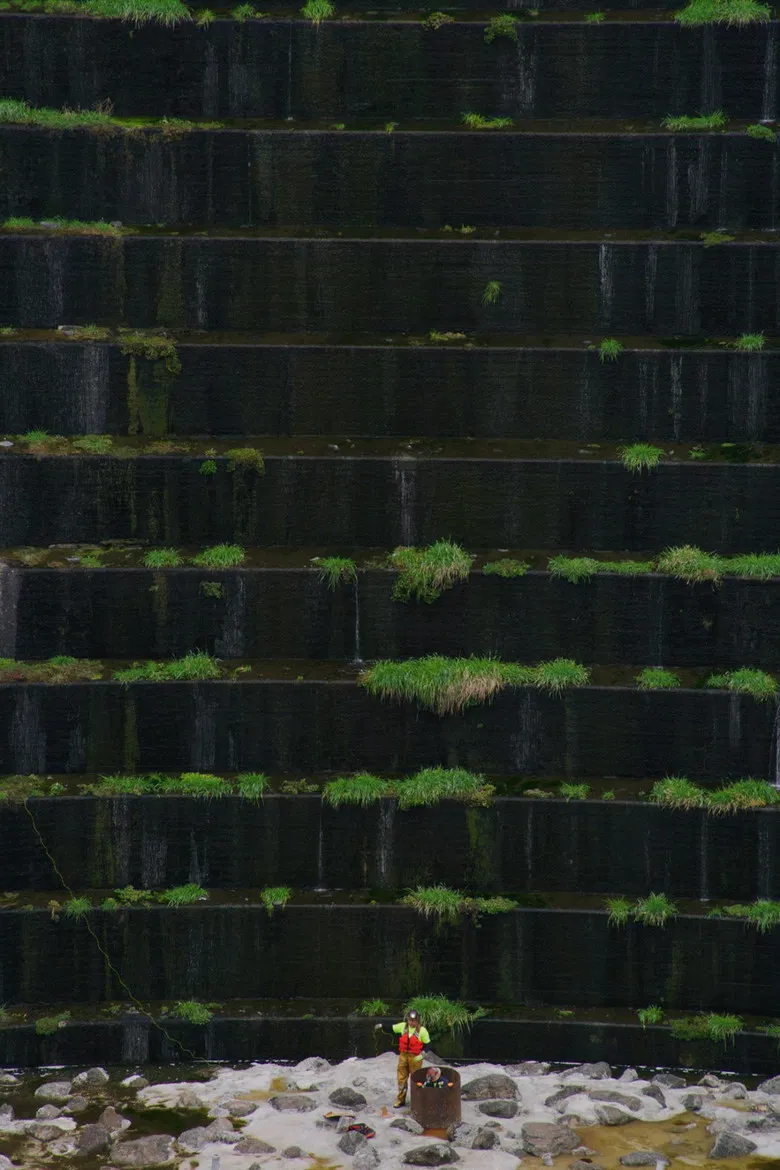 Murderers Bar poster background