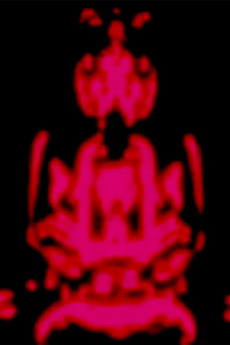 The Star Curtain Tantra poster background