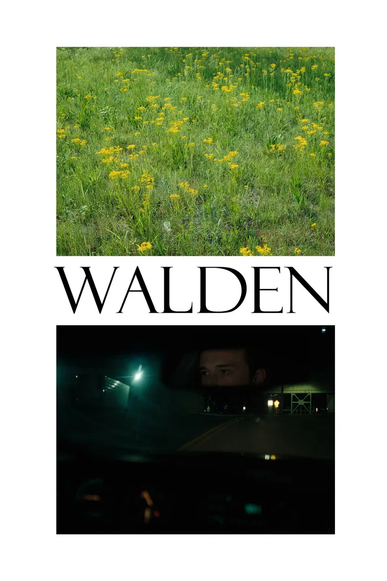 Walden poster background
