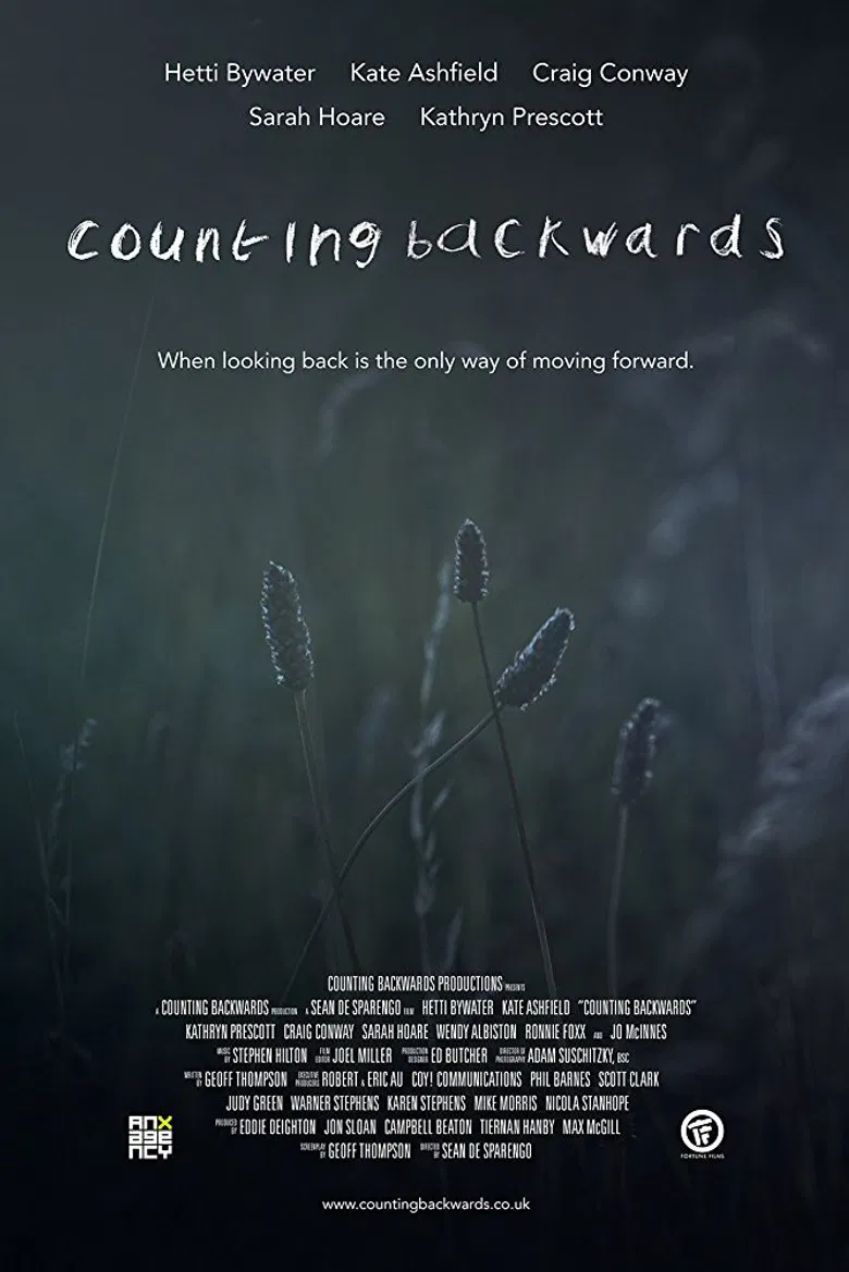 Counting Backwards poster background