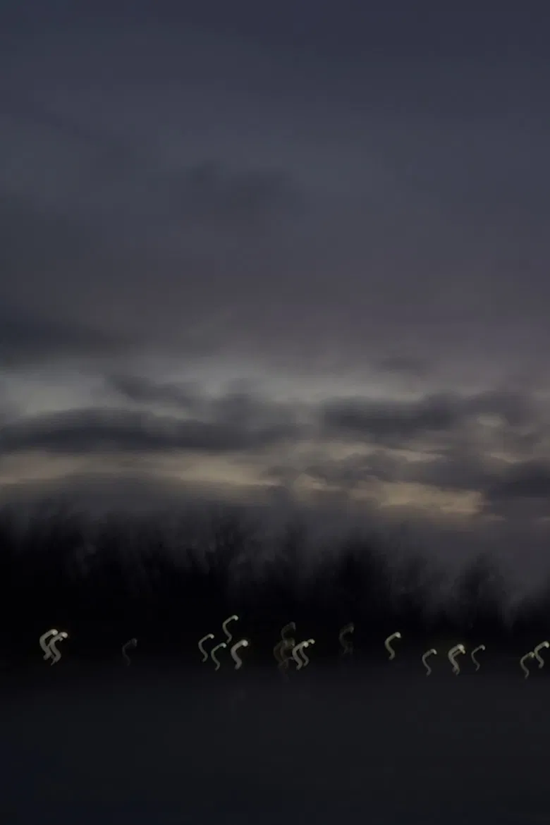 i heard the geese cry poster background