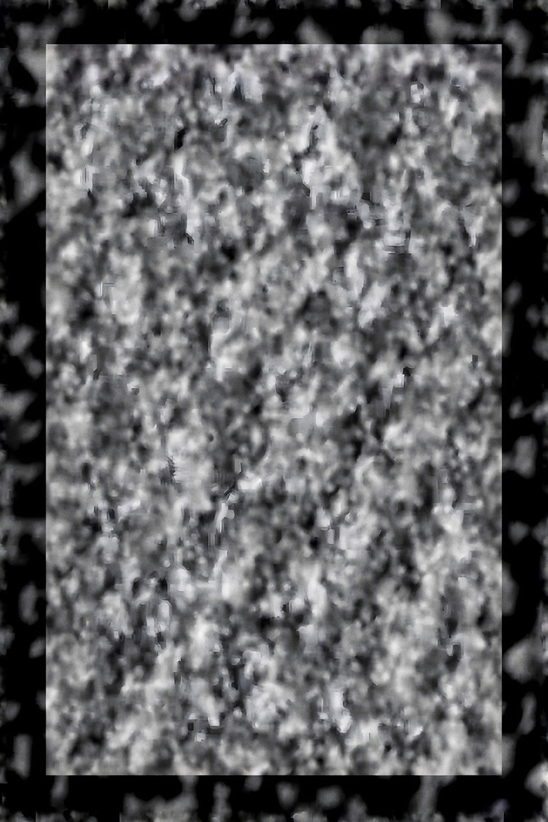 While We Look Down poster background