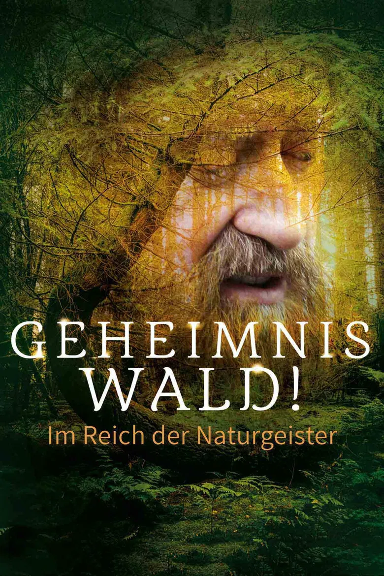 Geheimnis Wald! – Im Reich der Naturgeister poster background