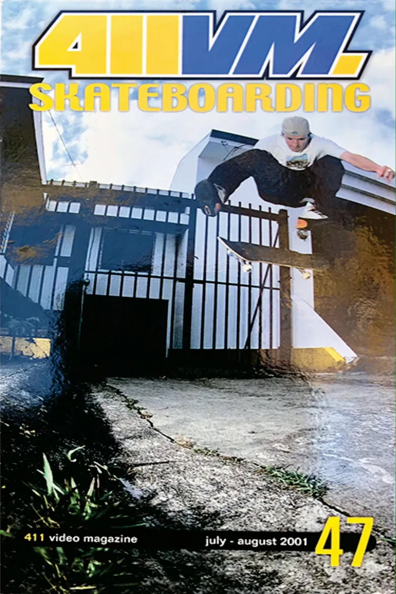 411VM: Issue 47 poster background