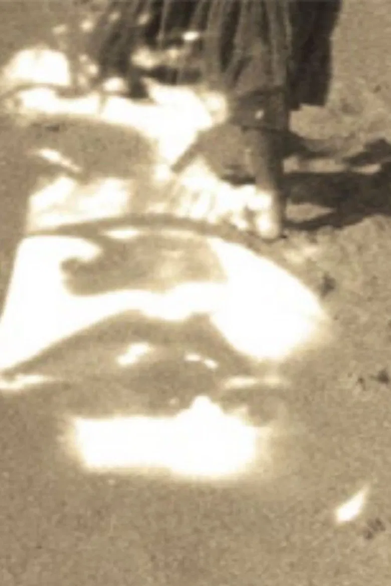 The Selves poster background