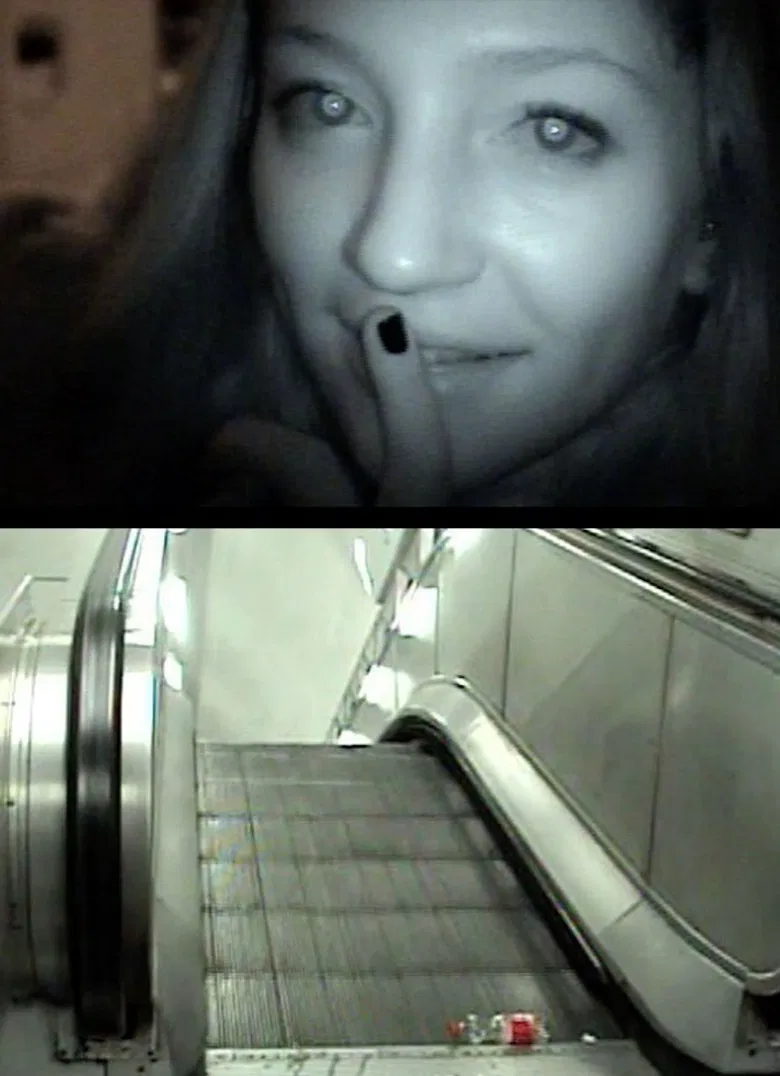 Chameleon poster background