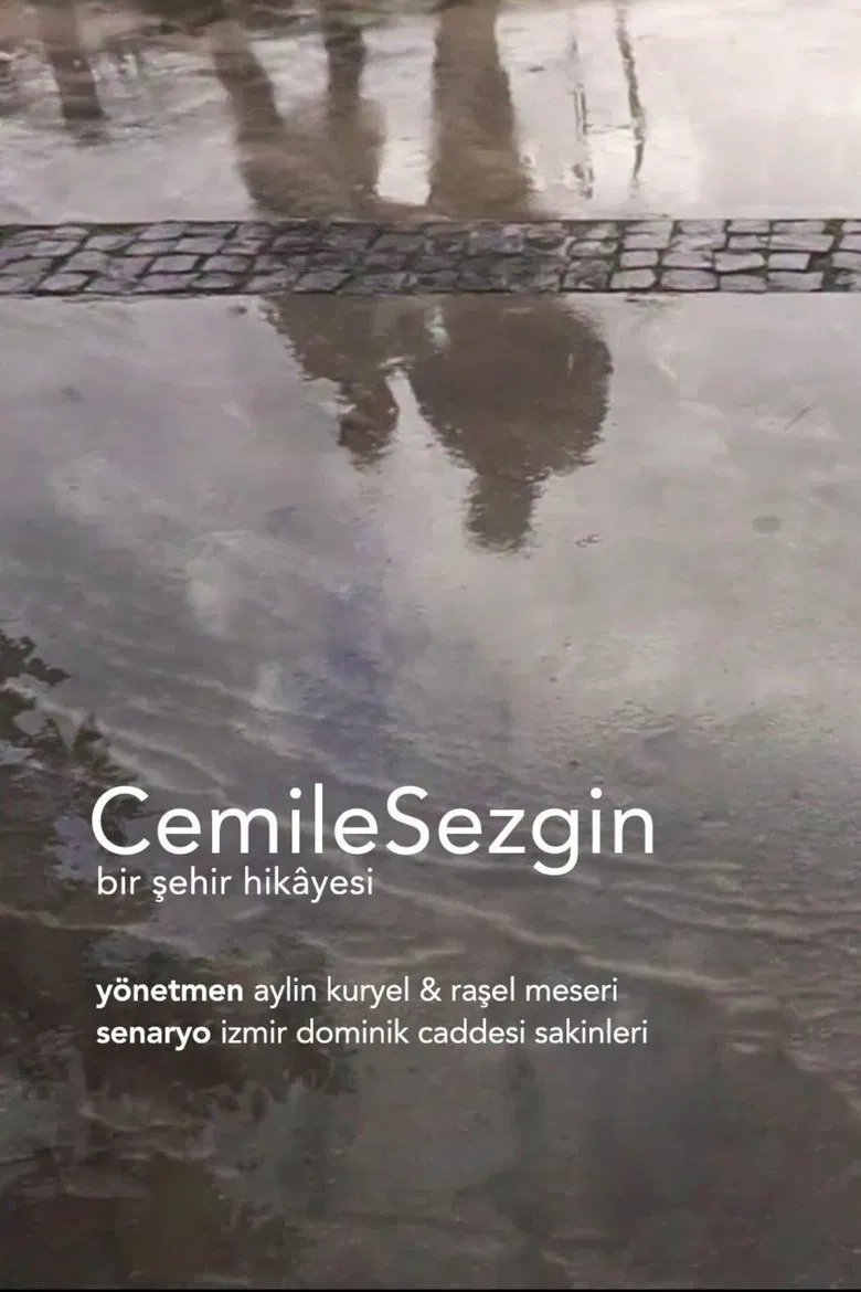 CemileSezgin poster background