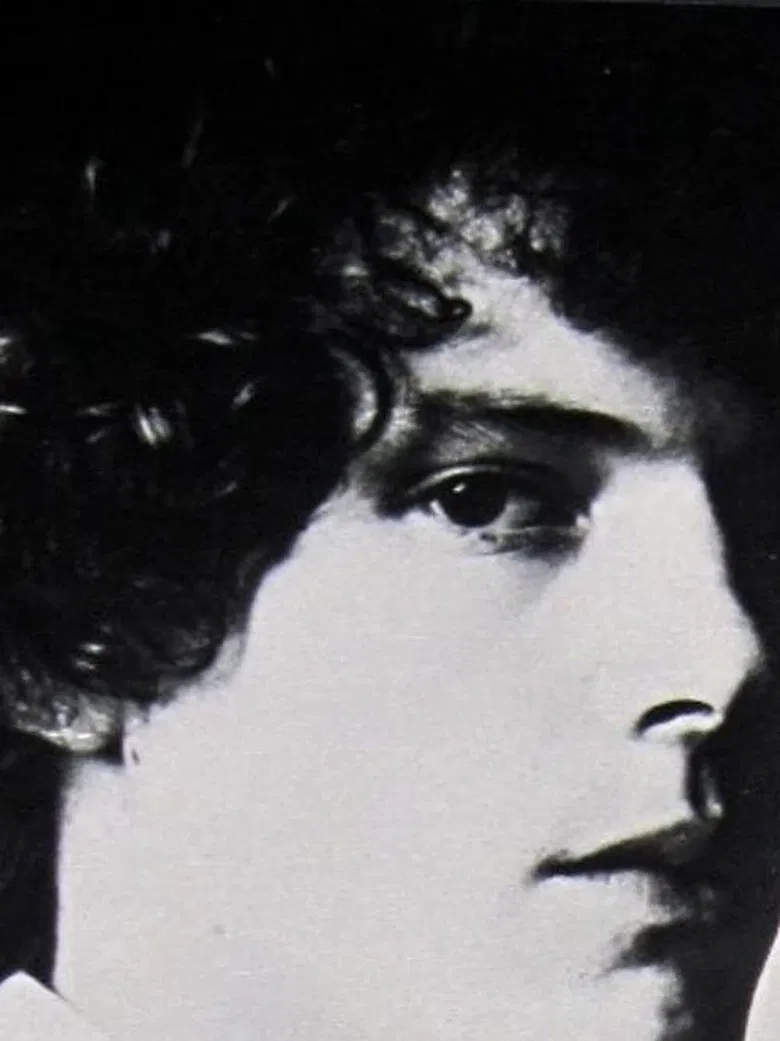 Pilgrimage poster background